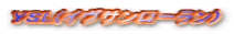 YSL(�C���T�����[����)