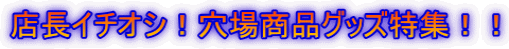 �@�@�@�X���C�`�I�V�I���ꏤ�i�O�b�Y���W�I�I